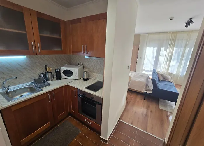 公寓 Modern Near Lift - Cedar 4,bansko By Flat Mаnаger 班斯科